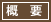 概要