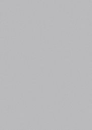 NT(エンボス仕上)